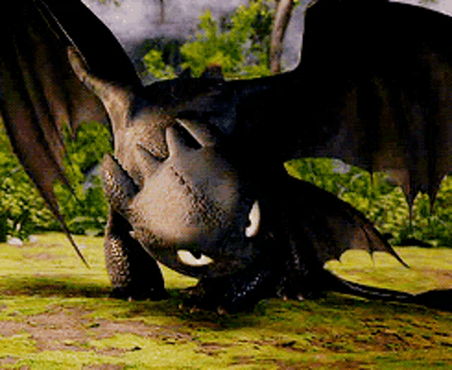toothless from how to train your dragon is laying down on the grass