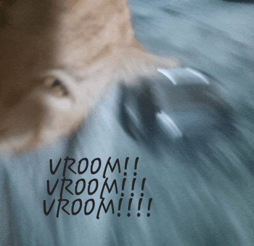 a blurry picture of a cat with the words vroom written in black