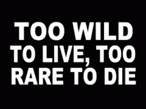 a poster that says too wild to live too rare to die