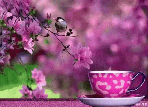 Bird Coffee GIF - Bird Coffee Tea GIFs