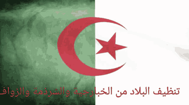 Chohada Alg Turkey GIF - Chohada Alg Turkey Flag Waving GIFs