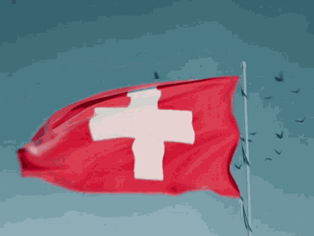 a red and white flag with a white cross on it