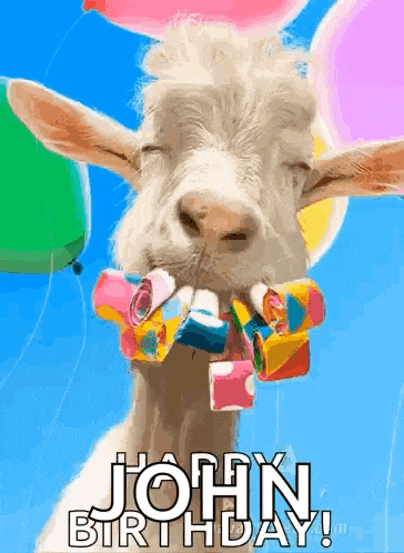 a goat with balloons around its neck and the words john birthday