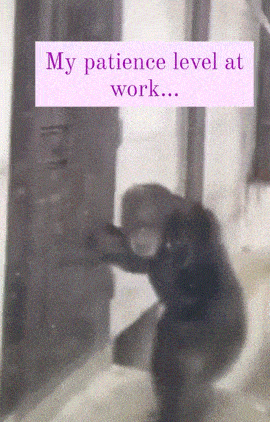 a picture of a monkey with the words " my patience level at work "