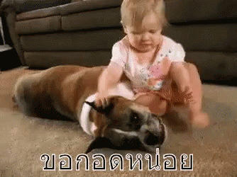 กอด กอดหมา ขอกอดหน่อย GIF - Dog Hugs Dog Hugging Dog GIFs