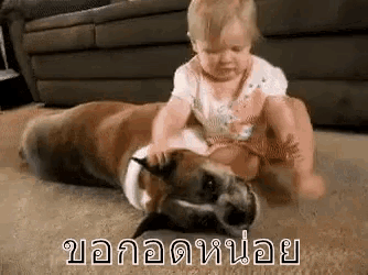 a baby is sitting on top of a boxer dog on the floor .
