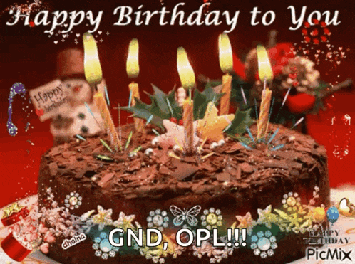 a birthday card with a chocolate cake and candles that says happy birthday to you gnd opl !!!