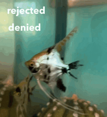 a fish is swimming in a tank with the words rejected denied behind it