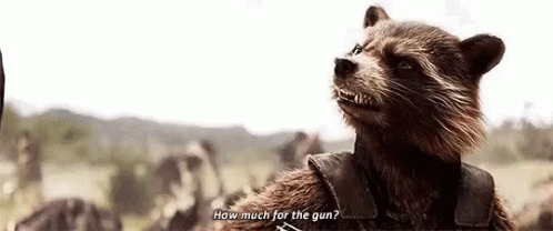 Guardians Of The Galaxy How Much GIF - Guardians Of The Galaxy How Much Rocket GIFs