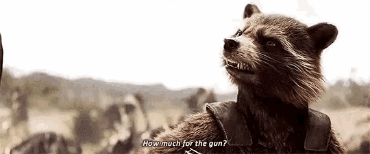 rocket raccoon from avengers : infinity war is talking to a group of people in a field .