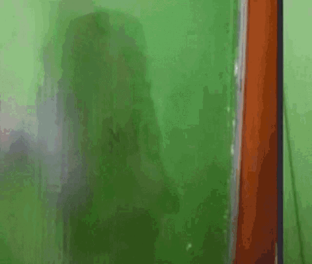 Reappear GIF