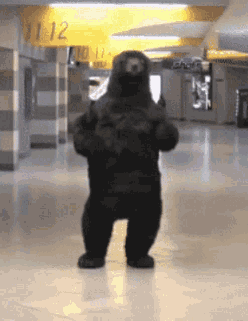 Boston Bruins Bear GIF - Boston Bruins Bear Dancing GIFs