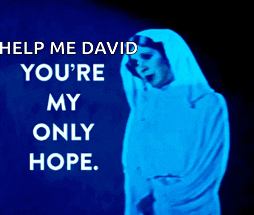 help me david you 're my only hope poster