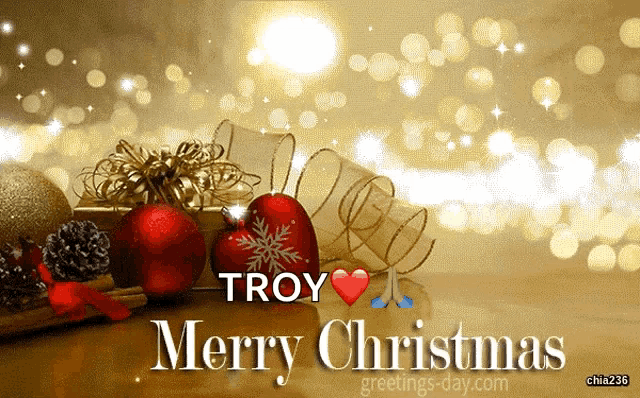 troy merry christmas greeting card with christmas decorations on a gold background