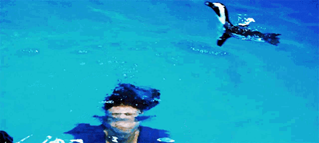 a woman in a blue shirt is swimming in a pool