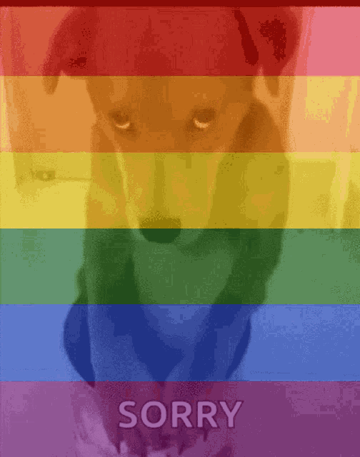 Gay Dog Dog Sorry GIF - Gay Dog Dog Sorry Sceneryykth GIFs