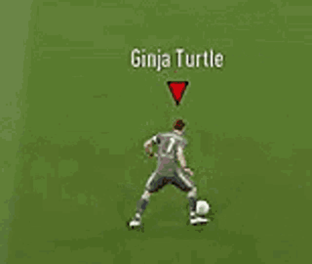 two soccer players are playing a game on a soccer field .