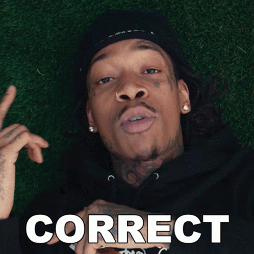 Correct Wiz Khalifa GIF - Correct Wiz Khalifa Cant Stay Sober Song GIFs