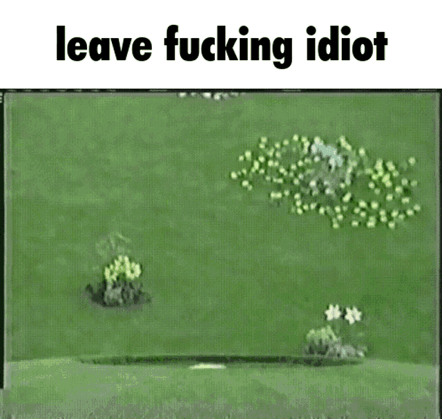 Dipsy Leave Fucking Idiot GIF - Dipsy Leave Fucking Idiot GIFs