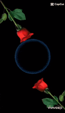 two red roses are standing in front of a blue circle .