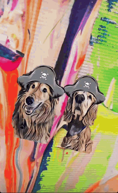 two dogs wearing pirate hats with crossbones on them