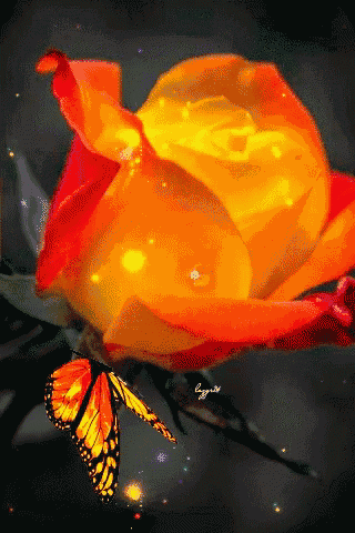 a butterfly is sitting on top of a yellow rose