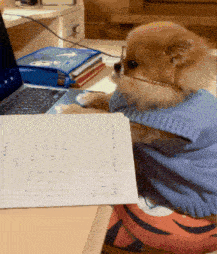 a dog wearing glasses sits at a desk with a laptop