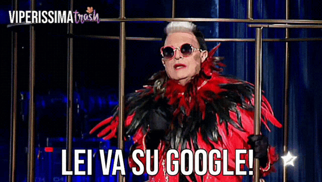a man in a red and black feathered outfit says lei va su google !