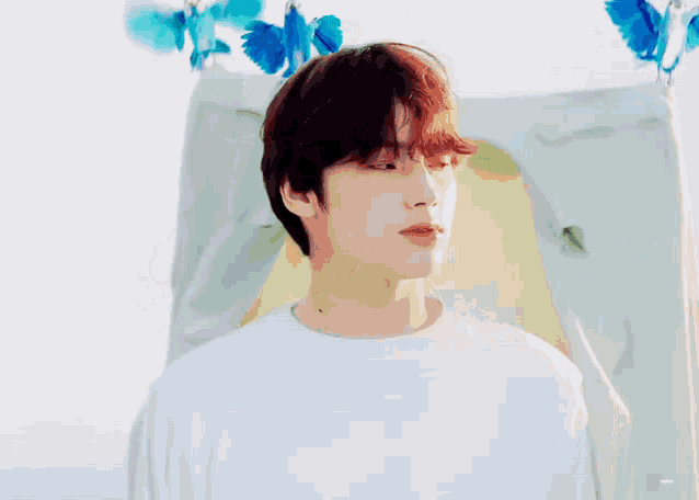 a young man with red hair is standing in front of a tent with blue butterflies on it .