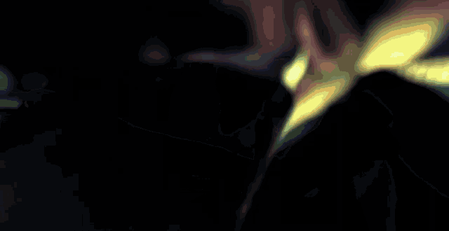 a blurry picture of a person holding a flower in a dark room