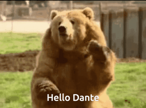 Hello Dante GIF - Hello Dante GIFs