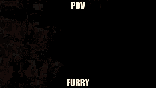 Die Furry Furry Pov GIF - Die Furry Furry Pov Pov Furry GIFs