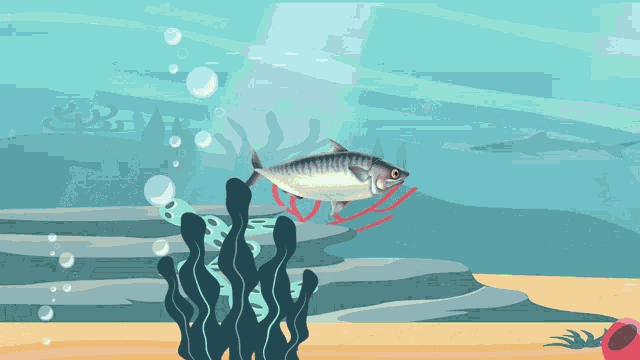 a cartoon illustration of a fish in the ocean