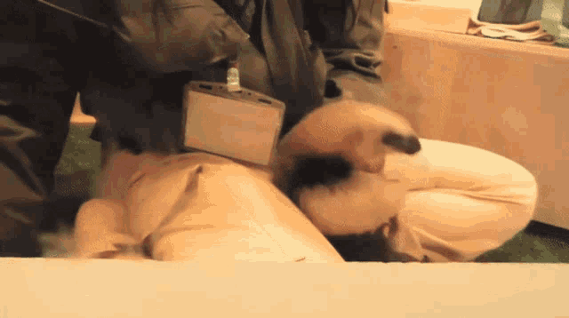 a person holding a small animal with a name tag on their neck