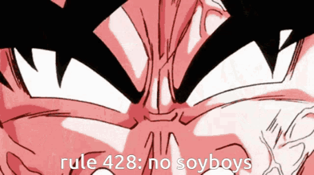 a close up of a person 's face with the words rule 428 no soyboys written below it