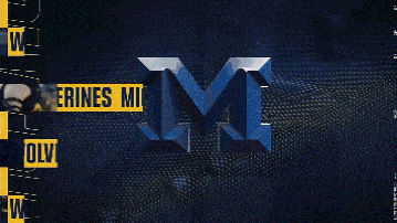 a football game is being played between the michigan wolverines and the university of michigan