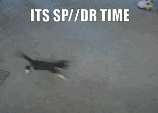 two cats are in a cage with the words " its sp / dr time " above them
