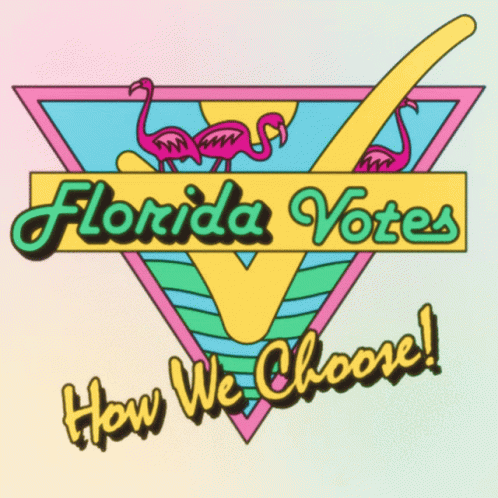 Florida Votes How We Choose Florida GIF - Florida Votes How We Choose Florida Florida Votes GIFs
