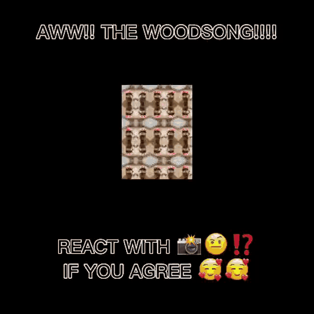 a picture of a dog 's paws with the words " aww ! the woodsong !!! react with if you agree "