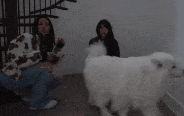 two women kneeling next to a white dog