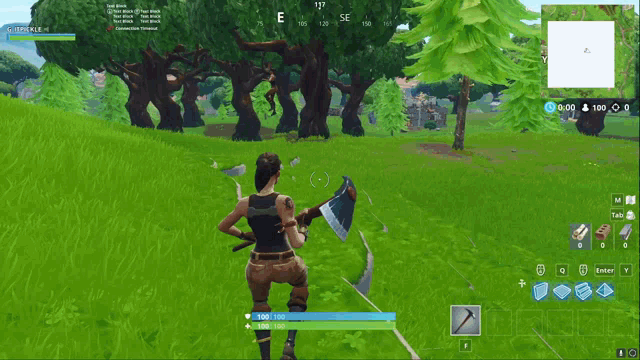a player in a video game named epickle is standing in the grass