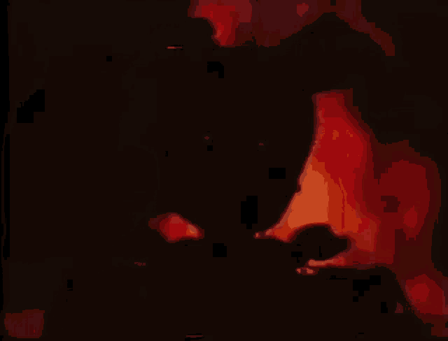 a person is standing in front of a fire in a dark room .