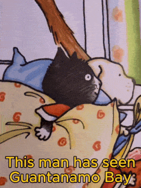 a picture of a cat and a dog with the caption " this man has seen guantanamo bay "