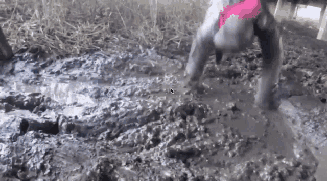 Stuck In Mud Mud Boots GIF - Stuck In Mud Mud Boots Muddy Boots GIFs