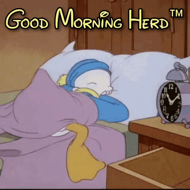 a cartoon of a person sleeping under a blanket with the words good morning herd tm
