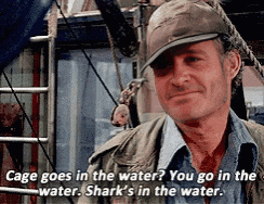 a man wearing a hat says cage goes in the water you go in the water sharks in the water