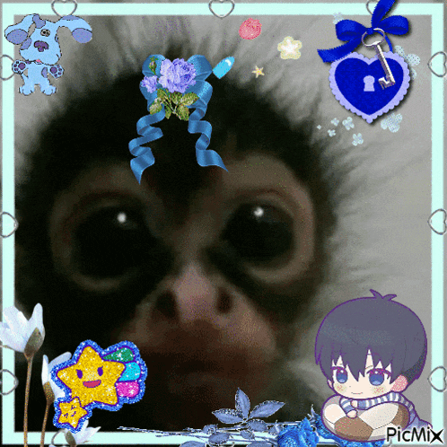 a picture of a monkey and a boy with the word picmix at the top