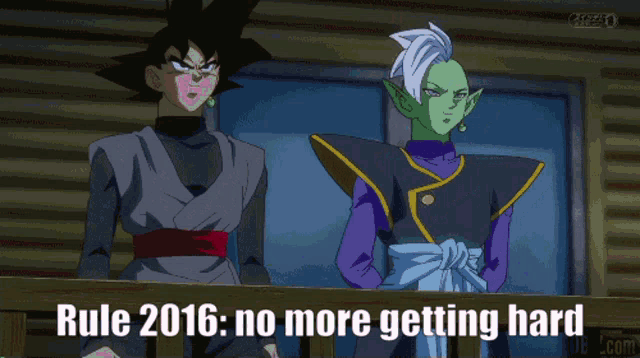 a picture of a cartoon character with the words rule 2016 no more getting hard on the bottom