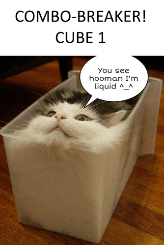 a cat is in a plastic container with a speech bubble that says combo-breaker cube 1