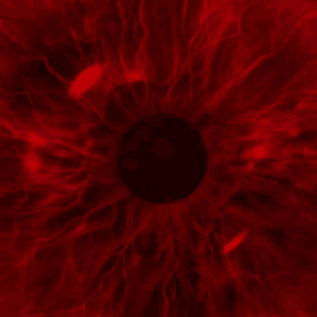 a red background with a black circle in the center
